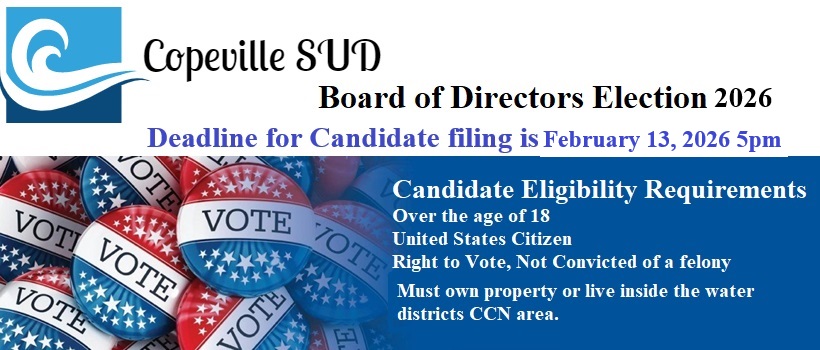 Deadline to file for a place on the ballot